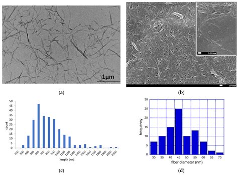 Assessing the Safety of Mechanically Fibrillated Cellulose Nanofibers ...