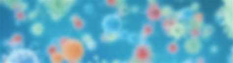 Image result for Program ICPIC