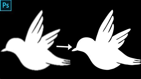 Vectorize a Raster File 的图像结果