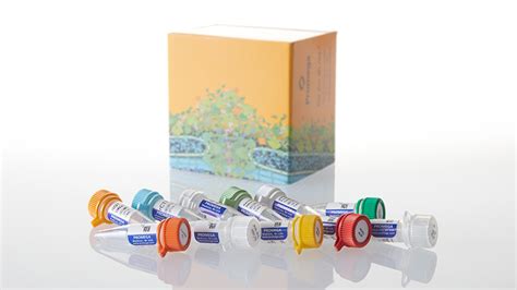 Riboprobe® Systems | RNA Probe