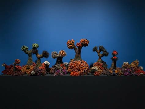 Crochet Coral Reef: Toxic Seas By Margaret and Christine Wertheim and ...