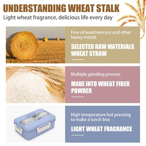 Buy LNKOO Bento Box For Kids & Adults With 3 Compartment,1200 ML Bento ...