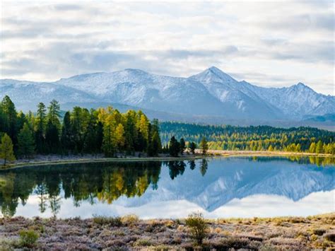 Complete the table. Past simple sentence types — task. International ...