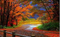 Autumn Wallpapers For Android by Top 6 Android Autumn Live Wallpapers To Enjoy Falling Leaves Autumn Wallpapers For Android