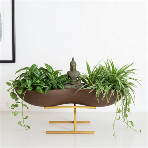 Best collection of indoor plants in Chennai and variety of planters ...