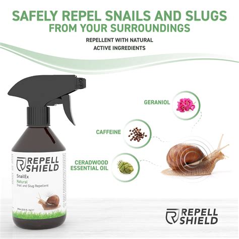 RepellShield Snail and Slug Repellent - A Natural Slug Repellent Pet ...