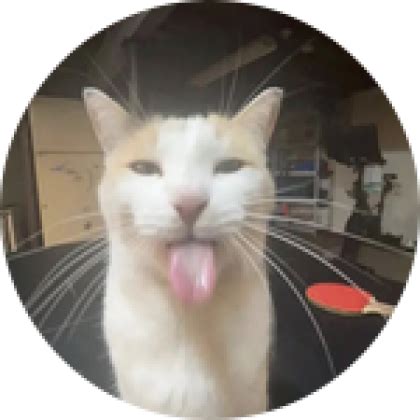 Image result for Roblox CATScript SS