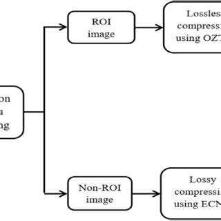 Image result for Compression Def