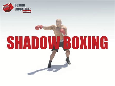 Boxing Shadow Boxing 的图像结果