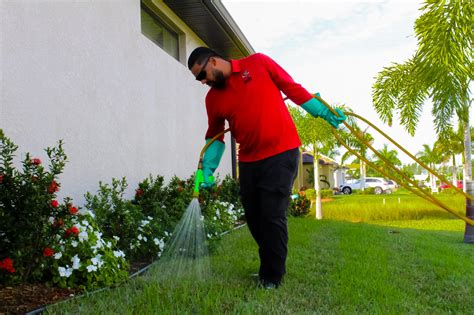 ALL U NEED PEST CONTROL CAPE CORAL
