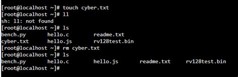 Image result for Remove Locked Files Linux
