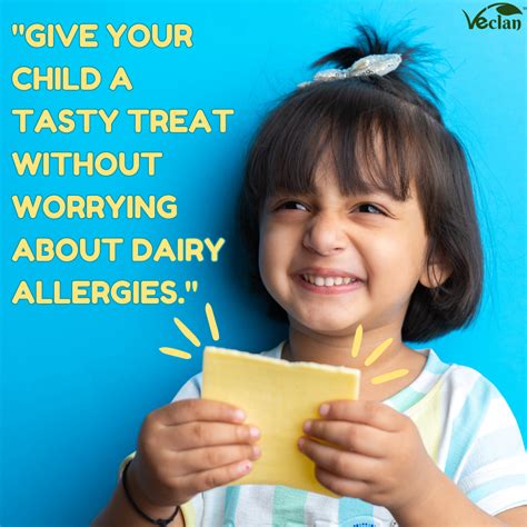 Vegan Cheese Slices – Veclan