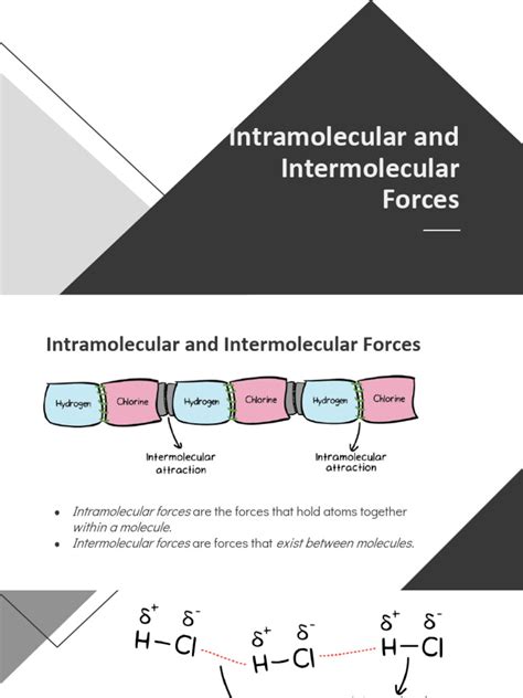 Image result for Intramolecular Forces Explained