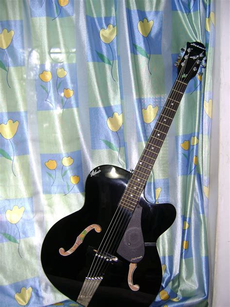 Image result for Six-String Instruments