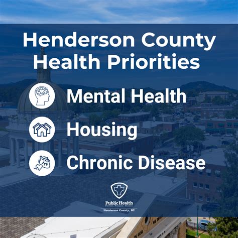 Henderson County identifies mental health, housing and chronic disease ...