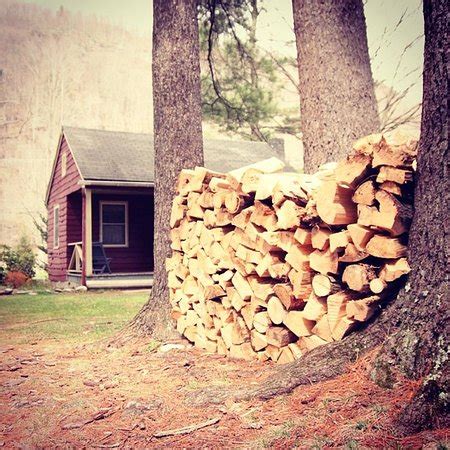 PHOENICIA LODGE - Motel Reviews, Photos, Rate Comparison - Tripadvisor