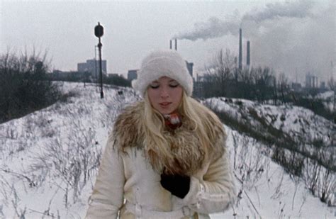 Inport Export 2007 的图像结果