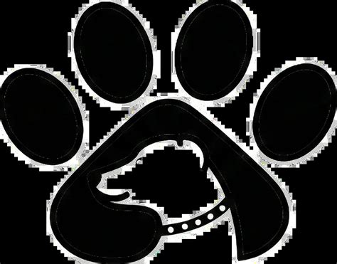 Dog Training Bengaluru | Paws of Persistence