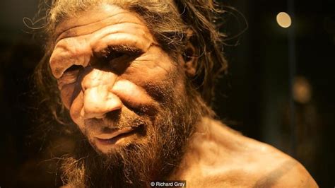 Yüzümüz Muhtemelen Bir Neandertalinkine Göre Daha İlkel - Arkeofili