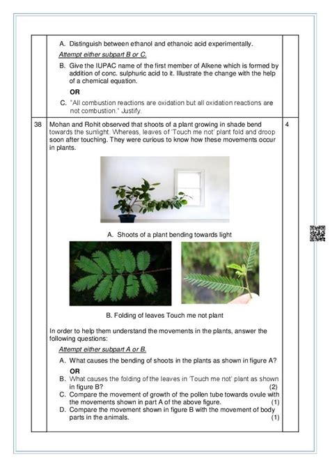 Image result for Science Sample Paper Class 10