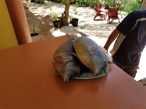 RESIDENCIA DIOSA (Siquijor Island) - Ranch Reviews, Photos, Rate ...