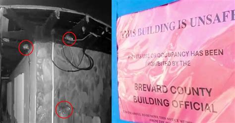 Rat infestation exploding at abandoned Indialantic house as neighbors ...