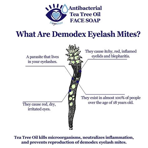 Demodex Eyelash Mites