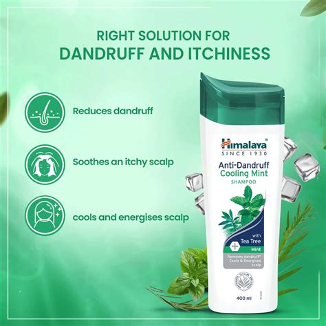 Buy HIMALAYA ANTI-DANDRUFF MINT SHAMPOO - 200ML Online & Get Upto 60% ...