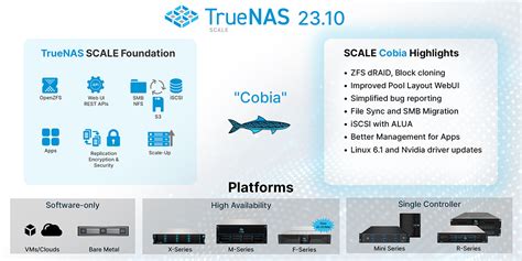 Image result for TrueNAS Scale Device
