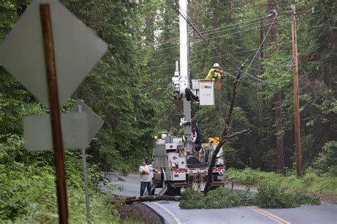 Storm knocks down trees in Saranac Lake | News, Sports, Jobs - Adirondack Daily Enterprise