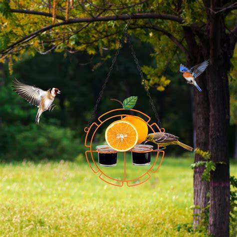Buy Hanayard Jelly Bird Feeder Metal Outdoor Fruit Oriole Feeder ...