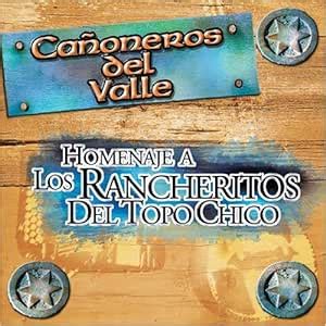 Buy Homenaje a Los Rancheritos Del Online at Low Prices in India ...