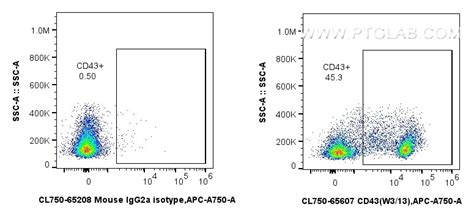 CD43 antibody (CL750-65607) | Proteintech