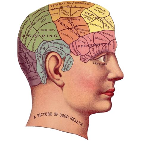 Types of Behaviorism 的图像结果