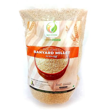 Polished Organic Barnyard Millet | Kavadapullu | Organic Millet Store