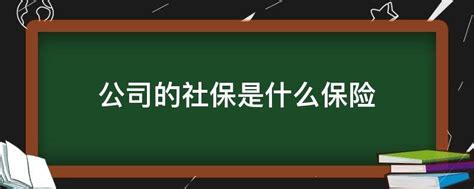 成立保险公司的条件是什么？保险公司股东揭秘！