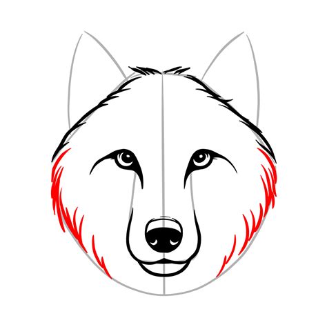 Image result for How to Draw Wolves