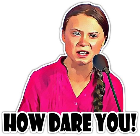 How Dare You Greta Thunberg Activist Vinyl Sticker Decal Car Laptop ...