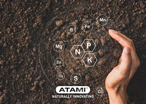 Essential Nutrients & Deficiencies in Plants – Complete Guide