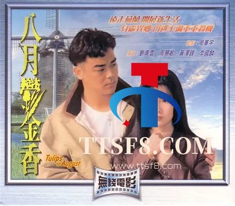 香港TVB电视LOGO含义-logo11设计网