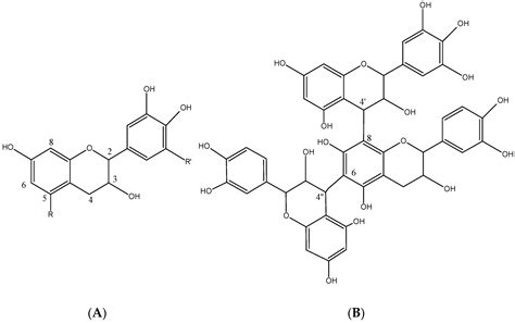 Evaluation of Tannins as Potential Green Corrosion Inhibitors of ...