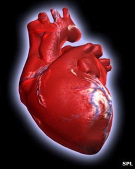 Image result for Heart Beat RPG Tutorial