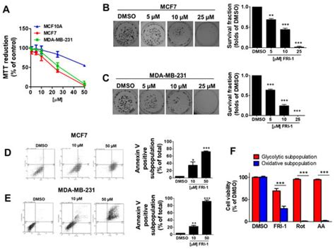FRI-1 Is an Anti-Cancer Isoquinolinequinone That Inhibits the ...