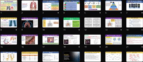 Image result for Free Science Lessons Gas Exchange