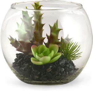 @Home by nilkamal Glass Succulent Potted Plant Artificial Plant with ...