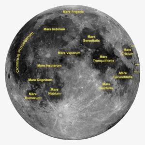 Image result for Moon Ball Python