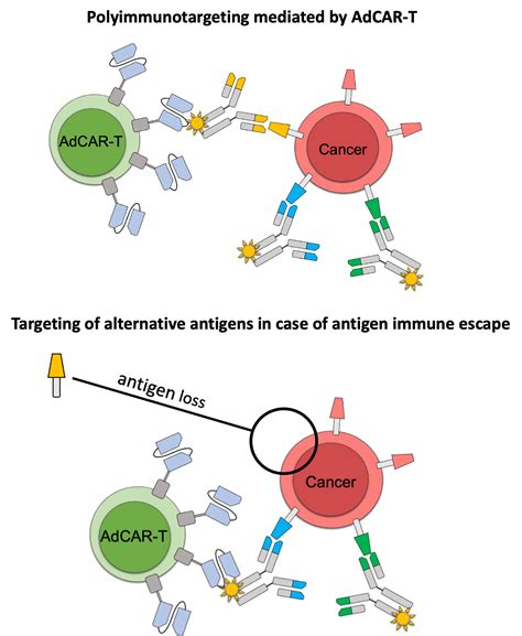 Car T Cell Cost