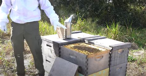 Image result for Spring Beekeeping
