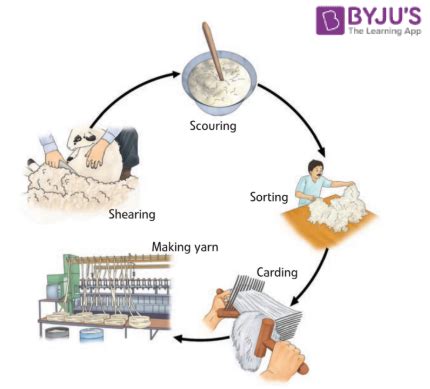 Image result for Process of Making Wool