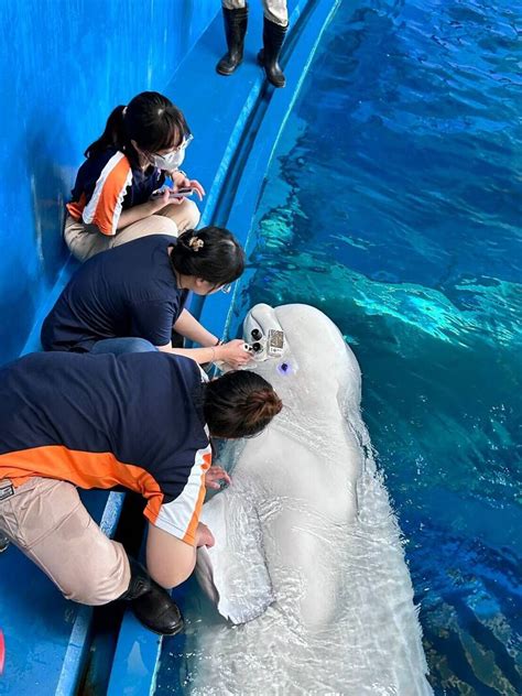 【大海就是我的教室🐋】 | 【大海就是我的教室🐋】 「要不要以後都在船上上課、每天看海龜？」 ：好啊！除了音樂課都在半潛艇上課！ 孩子，已經有 ...